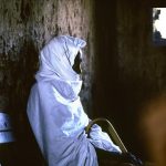 Nugal Vallely Tea House, Somalia, 1982